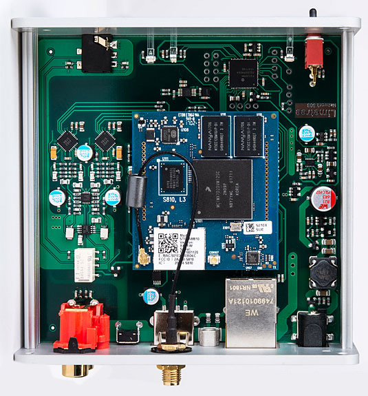 Lindemann Limetree Network inside