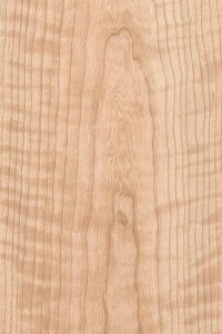 LuXor X4 hangsugárzó