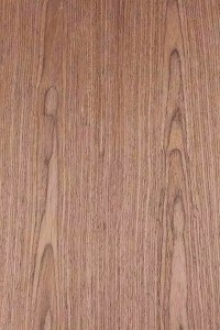 LuXor X4 hangsugárzó